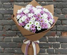 Букет цветов из:  Хризантемы #REPLACE_PRED# Старая Станица