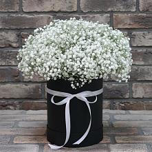 Цветочная композиция из Гипсофила в шляпной коробке в Старая Станица