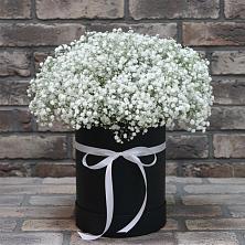 Цветочная композиция из Гипсофила в шляпной коробке в Старая Станица