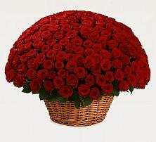 Премиум букет из: Розы в Старая Станица