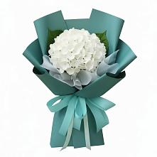 Букет цветов из:  Гортензия #REPLACE_PRED# Старая Станица